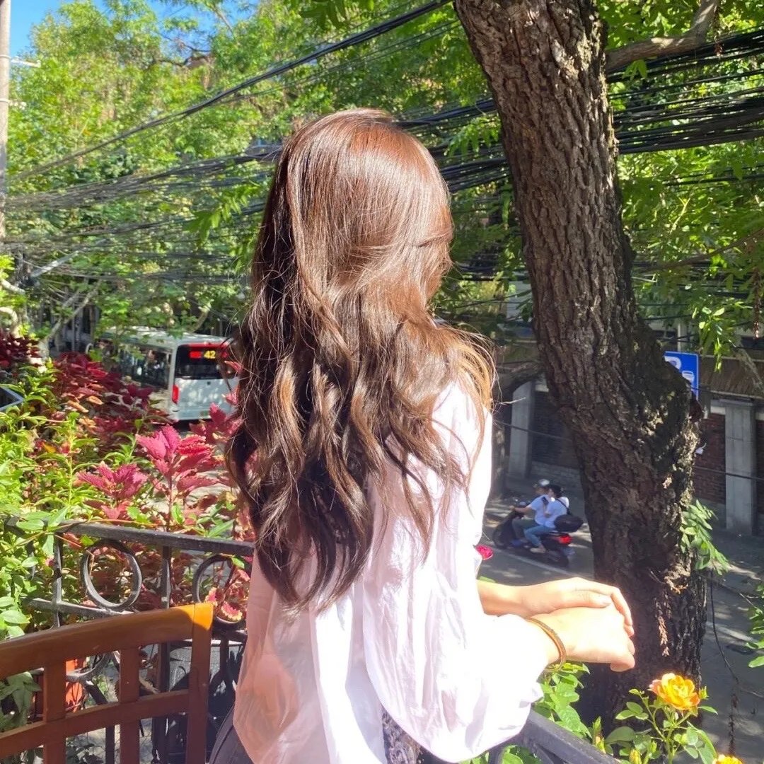 首相阁下的料理人